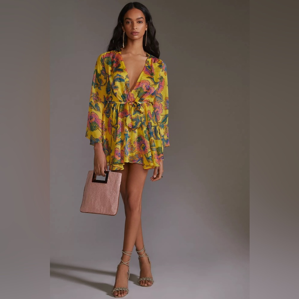 MISA Los Angeles Kaia Floral Chiffon Mini Dress